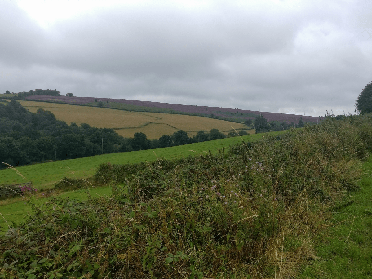 My favourite local&nbsp;ride